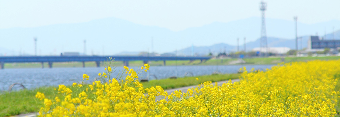 遠賀町1の画像